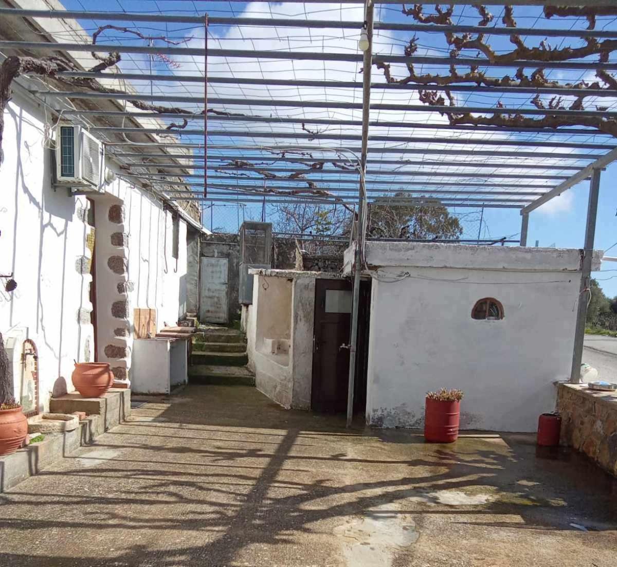 House Fyntikakh - Skala